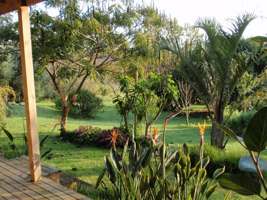 Wharepuke Subtropical Accommodation Kerikeri Quarto foto
