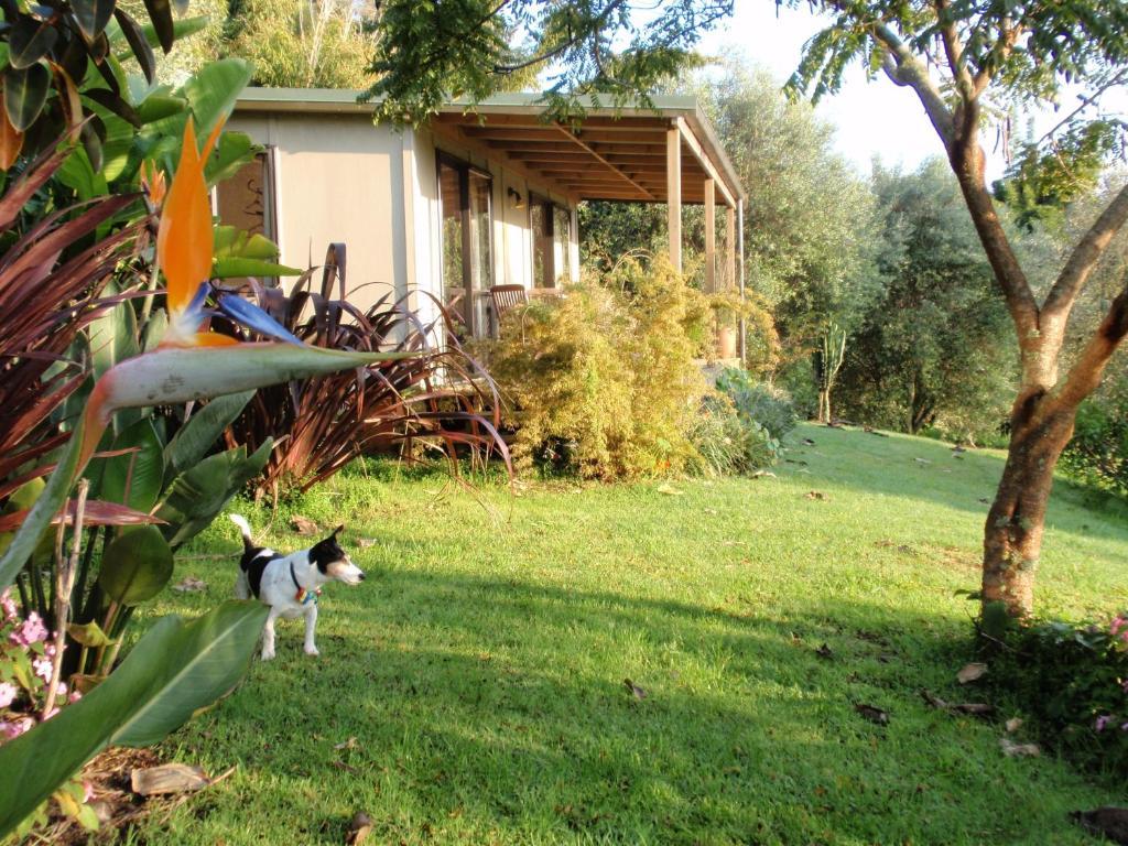 Wharepuke Subtropical Accommodation Kerikeri Quarto foto